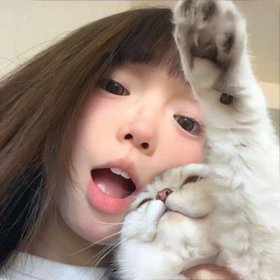 狮子、爱、谎言